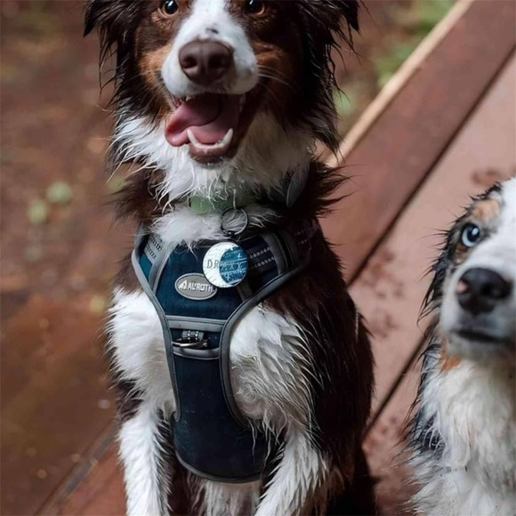 Auroth Tactical Dog Harness for Small Dogs No Pull Adjustable Denim Blue - Picture 7 of 7